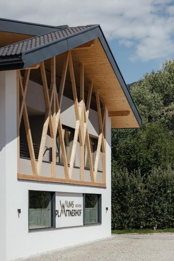 Apartament Plattnerhof Viums Natz-Schabs Zewnętrze zdjęcie